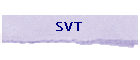 svt.gif (1620 octets)