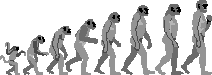 evolution.gif (2069 octets)